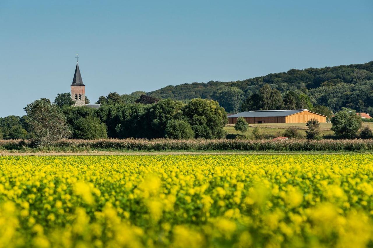 B@B Martinushoeve Oudenaarde Eksteriør bilde