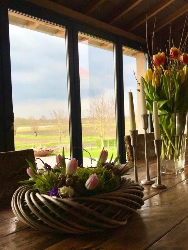 B@B Martinushoeve Oudenaarde Eksteriør bilde